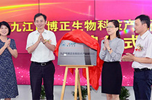 九江市博正生物科技產(chǎn)業(yè)研究院揭牌成立